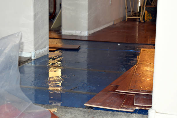 Professional Water Damage Restoration technician working in Lubec, ME